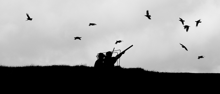 Grouse season update