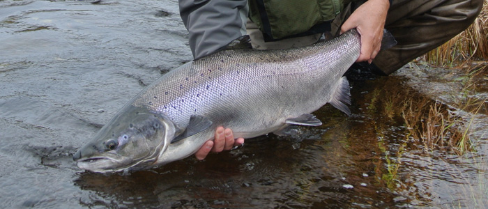 Bill Drury reports from Umba - 17-24 September