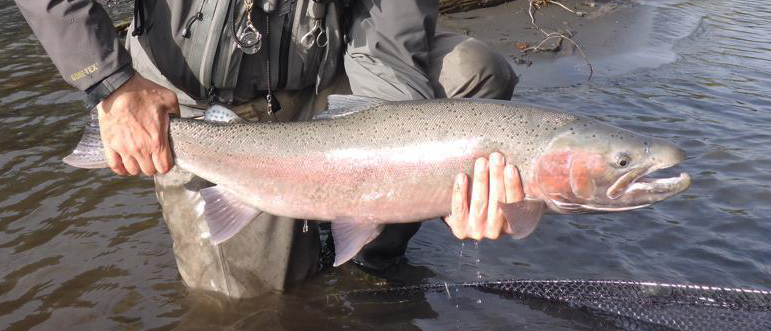 New client footage from Boundary Lodge, British Columbia