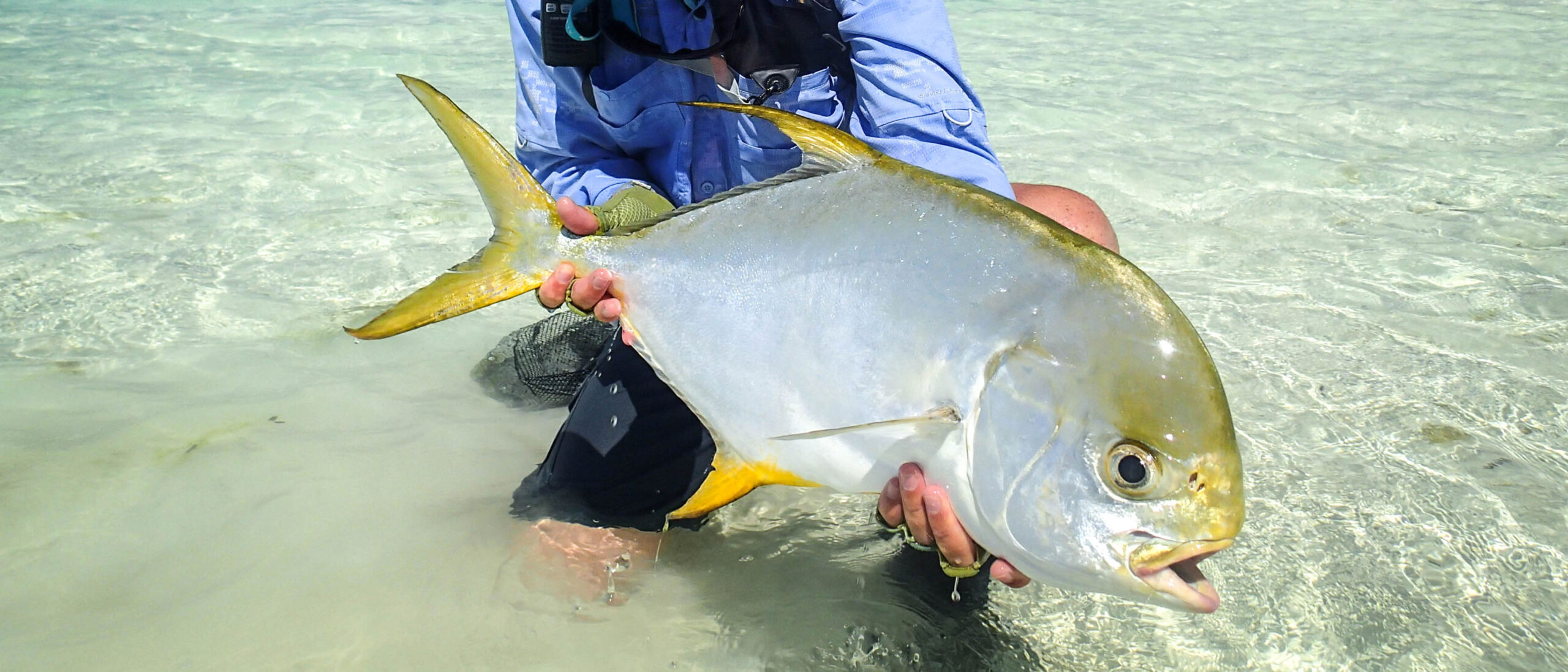 8 permit, 602 bonefish, milkfish, GT's, triggerfish, sailfish and more...