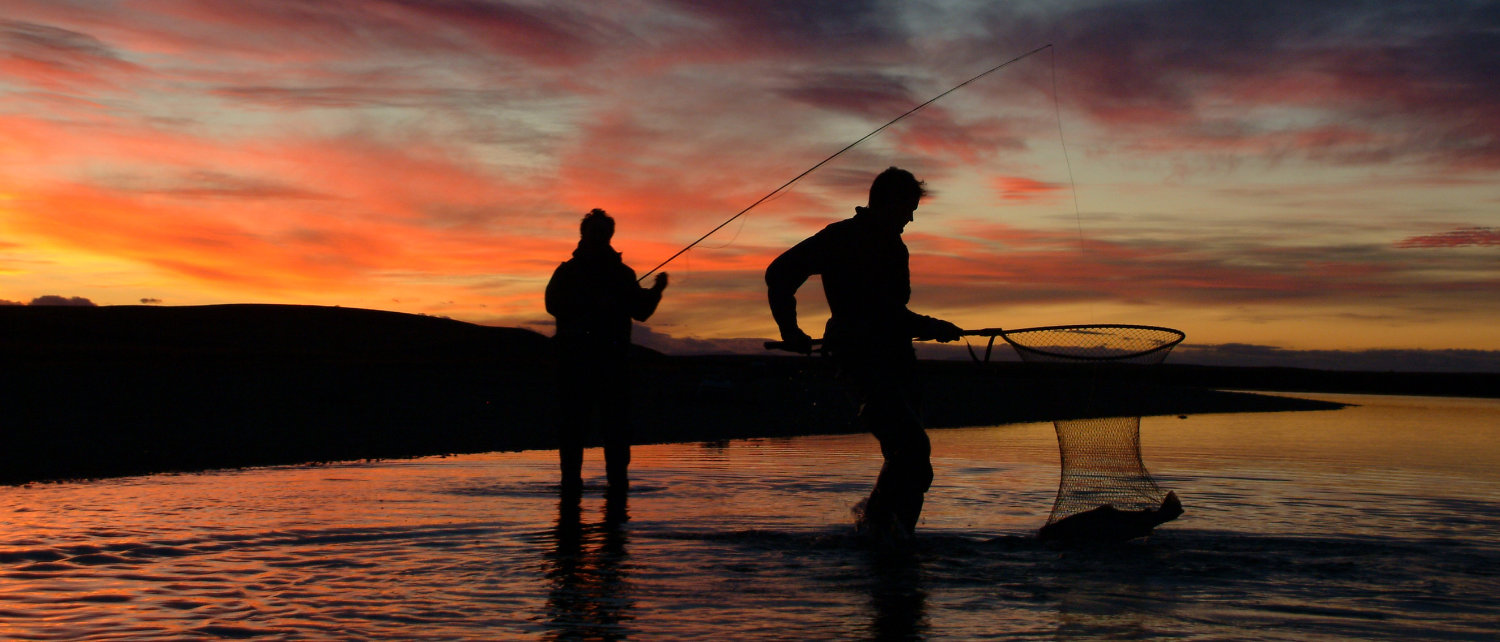 7 to 14 January: Weekly report from Tierra del Fuego