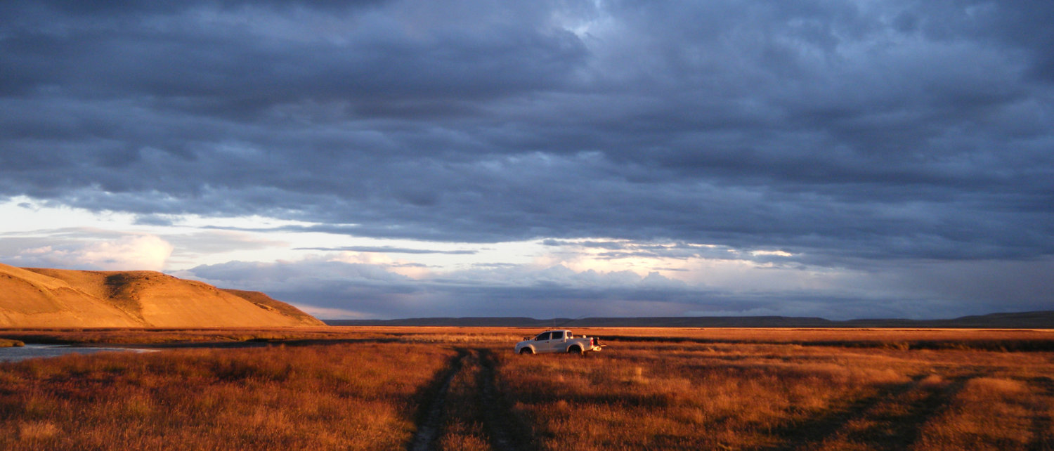 14 to 21 January: Weekly report from Tierra del Fuego