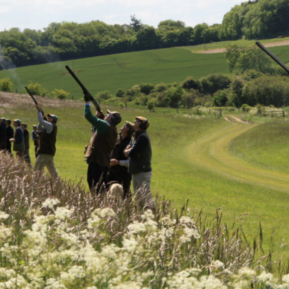 Summer Fun: new drives announced at Hilldrop Estate for simulated game days