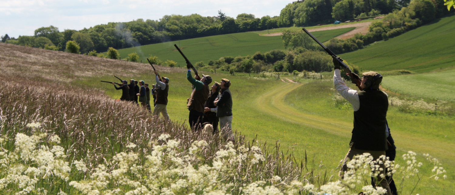 Summer Fun: new drives announced at Hilldrop Estate for simulated game days