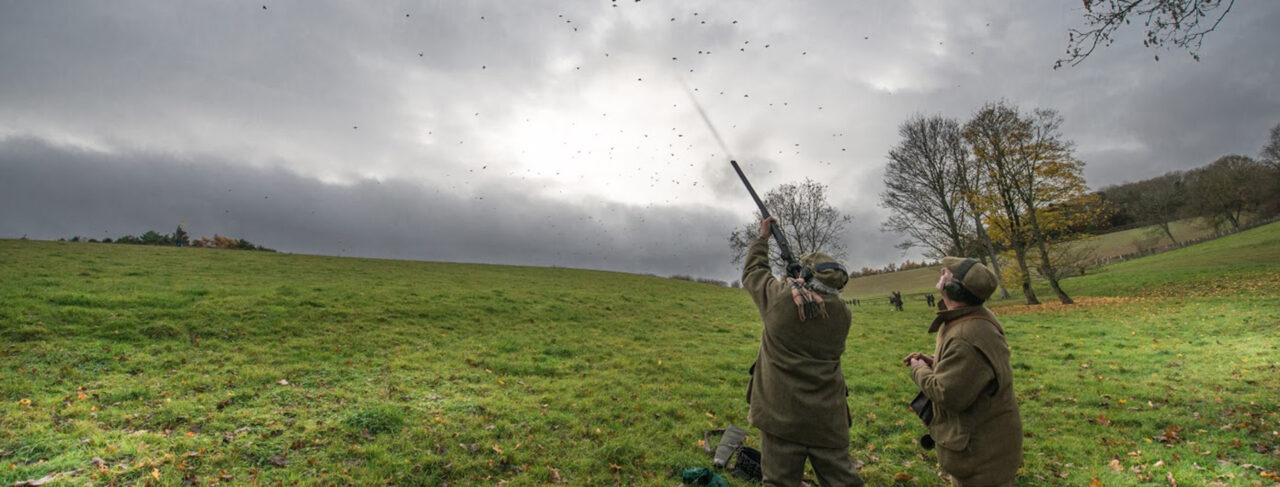 Shooting - Europe - England - Salperton