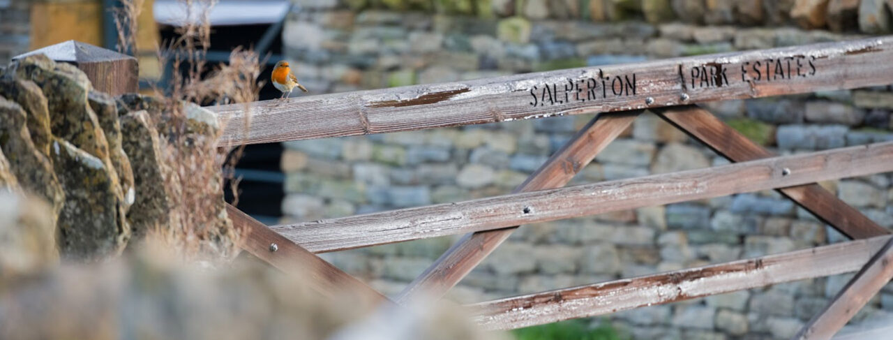 Shooting - Europe - England - Salperton