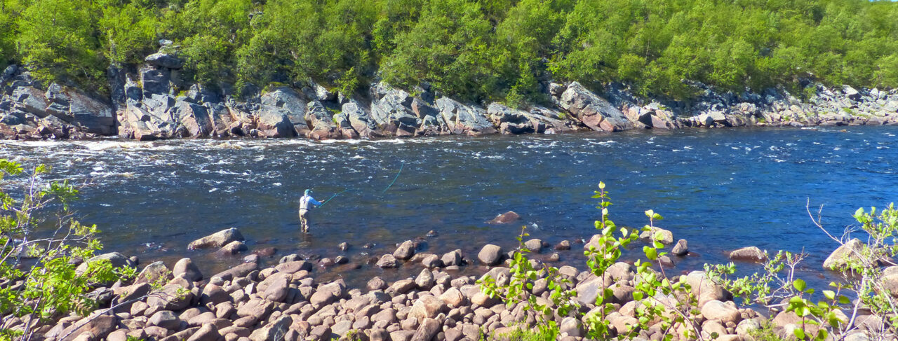 Fishing - Europe - Russia - Gremikha Lower Yokanga