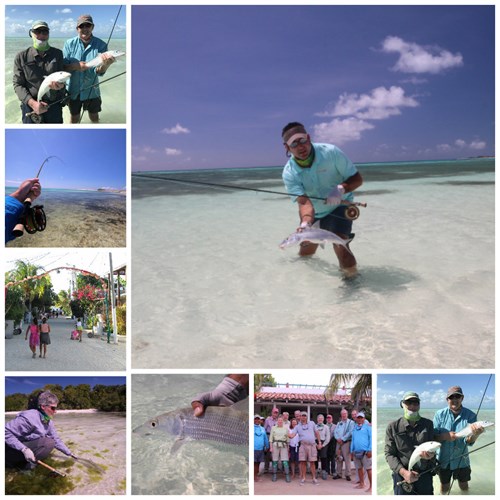 Los Roques 2017 Collage