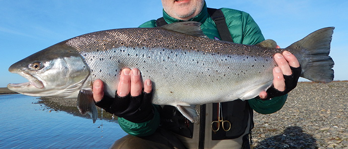 18 to 25 February: Weekly report from Tierra del Fuego