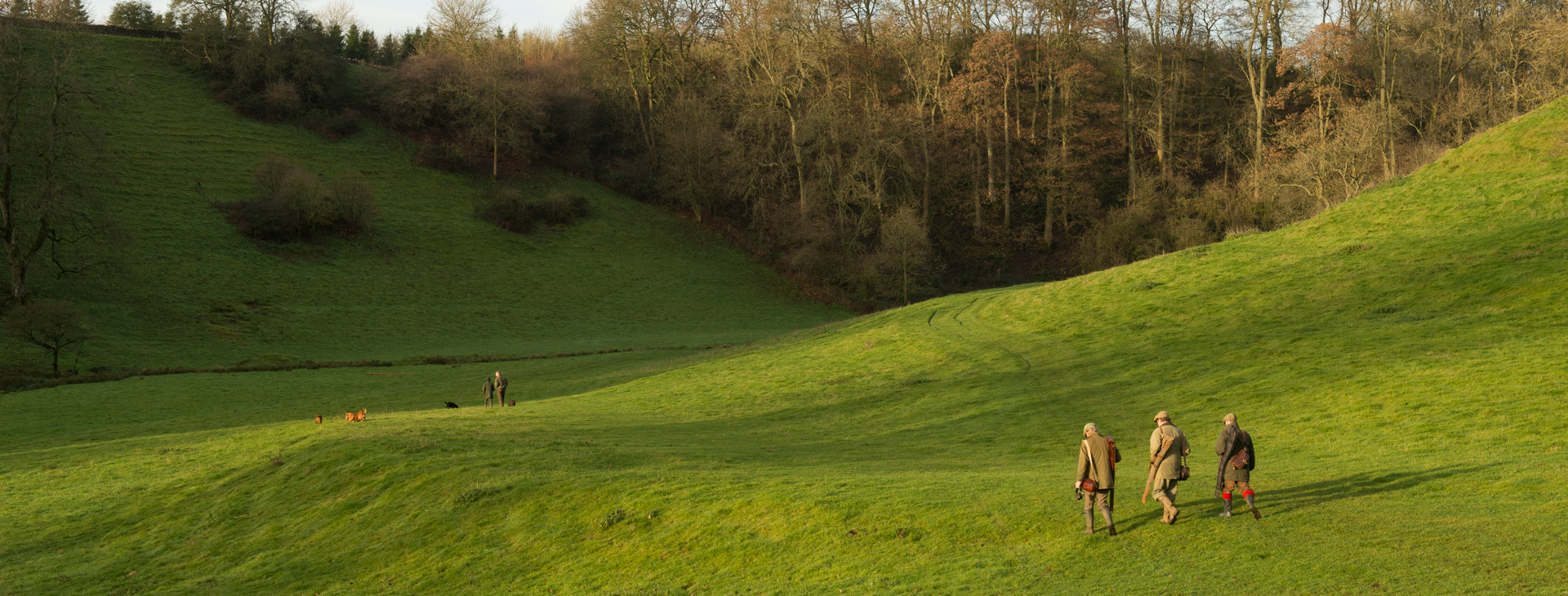 Shooting - Europe - England - Cotswolds