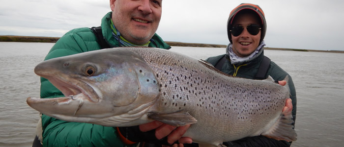 Argentina, Tierra del Fuego 2018 bookings now being taken