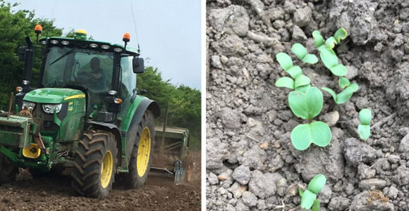 An off-season update from Dan Reynolds