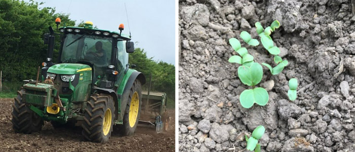 An off-season update from Dan Reynolds