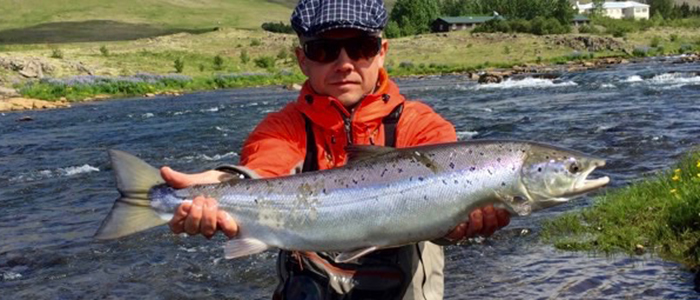 News from Iceland: Laxa in Kjos opening day