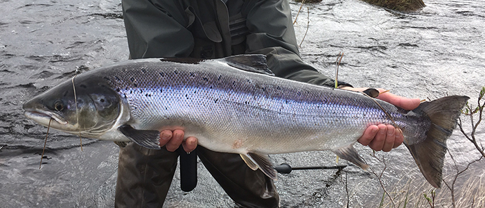 Umba exploratory fishing report