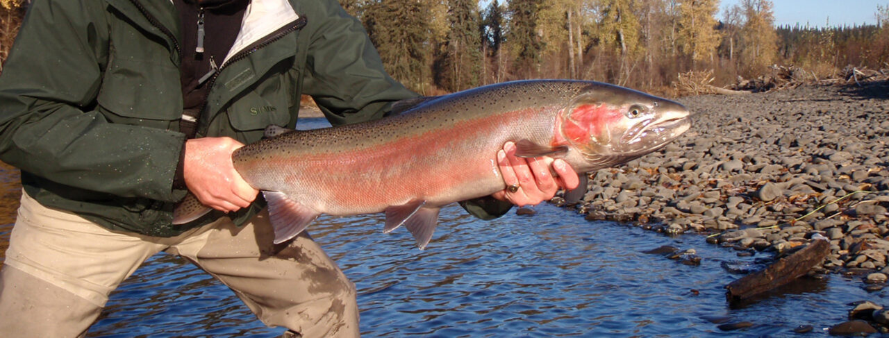 Fishing - North America - Canada - Boundary Lodge