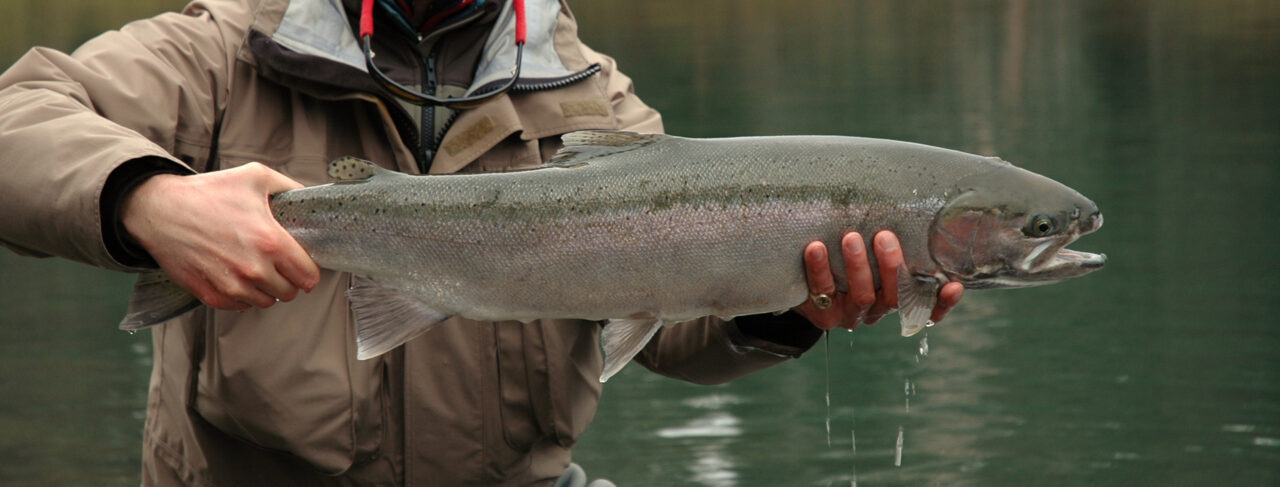 Fishing - North America - Canada - Boundary Lodge