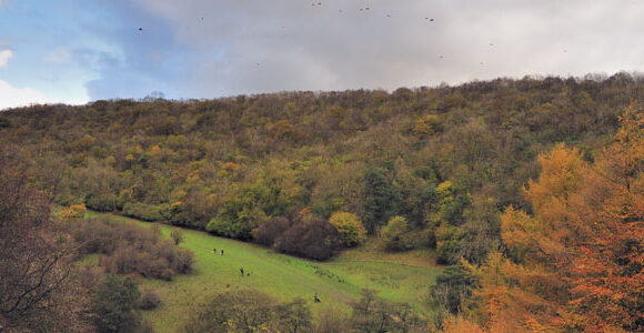 The Arden Beat, Hawnby, North Yorkshire