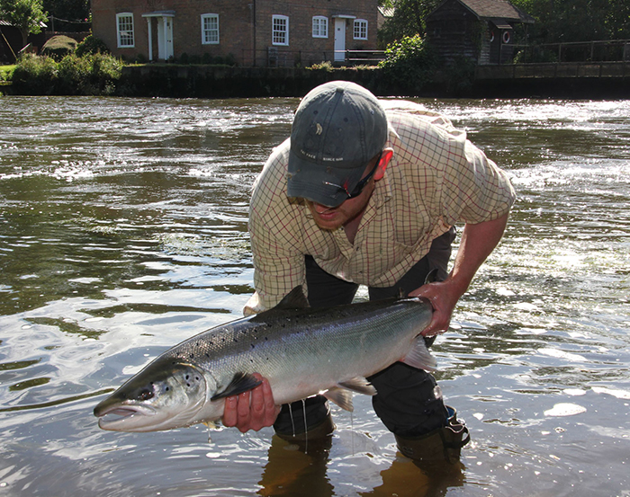 Salmon within a short drive of London