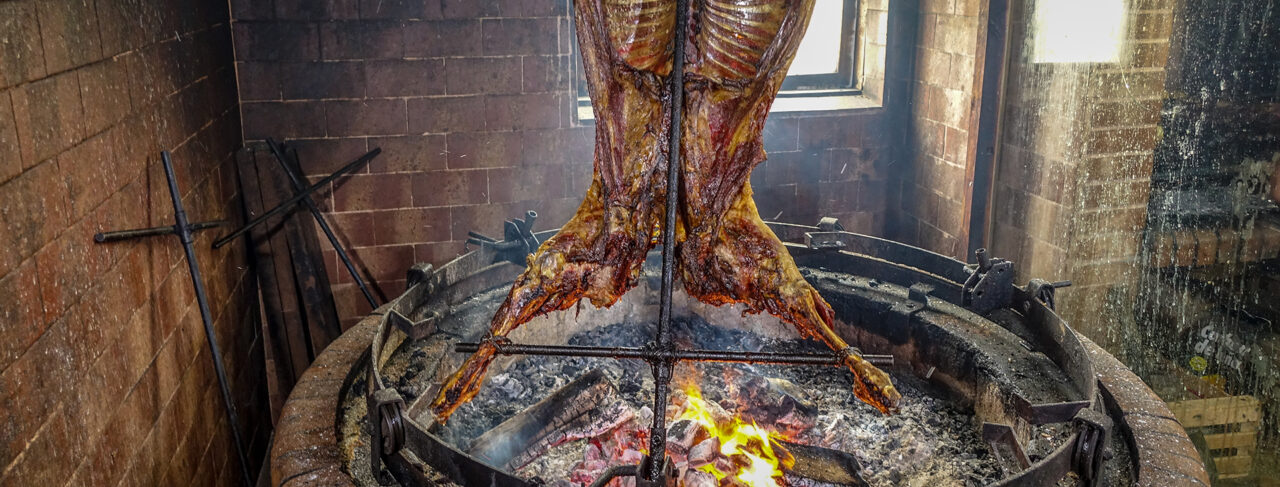 Fishing - Central & South America - Argentina - La Villa De Estancia Maria Behety Sea Trout