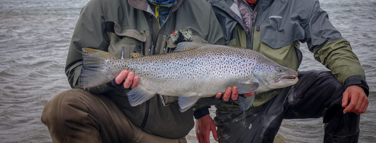 Fishing - Central & South America - Argentina - La Villa De Estancia Maria Behety Sea Trout