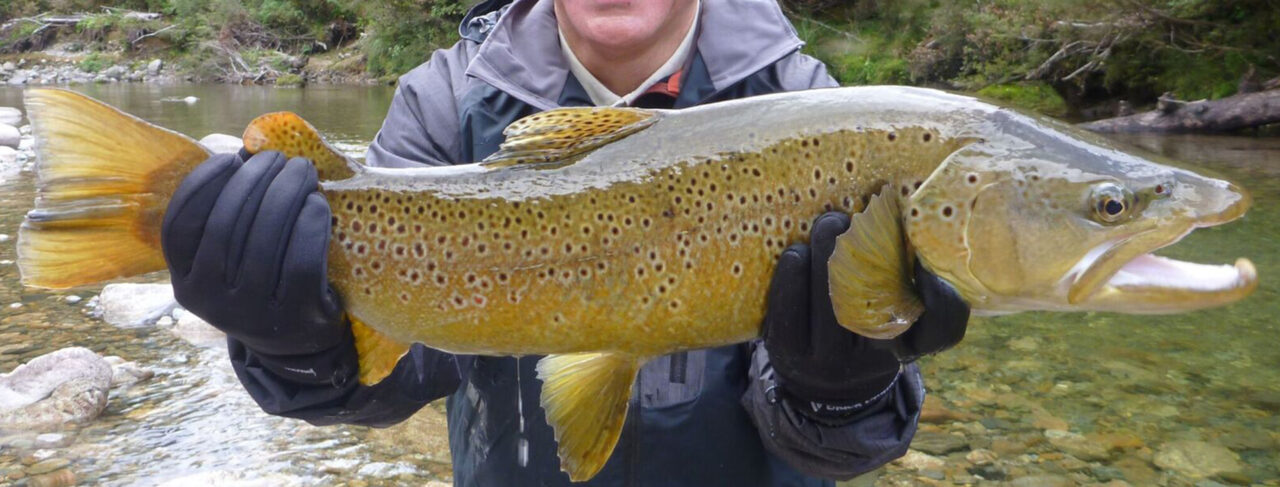 Fishing - Australasia - New Zealand - Stonefly Lodge