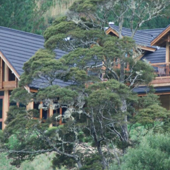 Fishing - Australasia - New Zealand - Stonefly Lodge