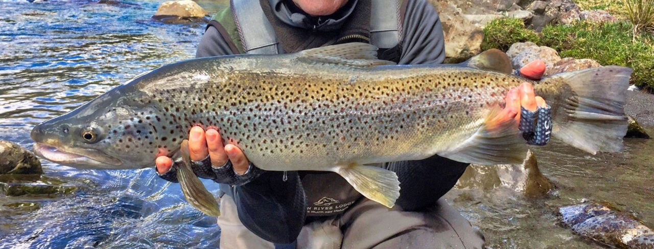 Fishing - Australasia - New Zealand - Owen River Lodge