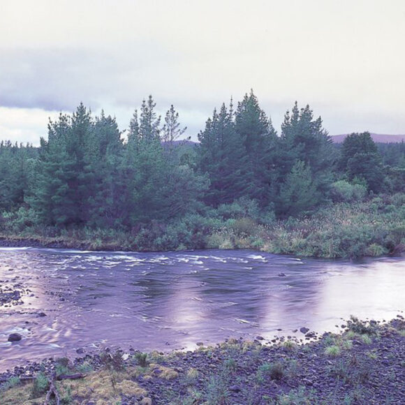 Fishing - Australasia - New Zealand - Tongariro Lodge