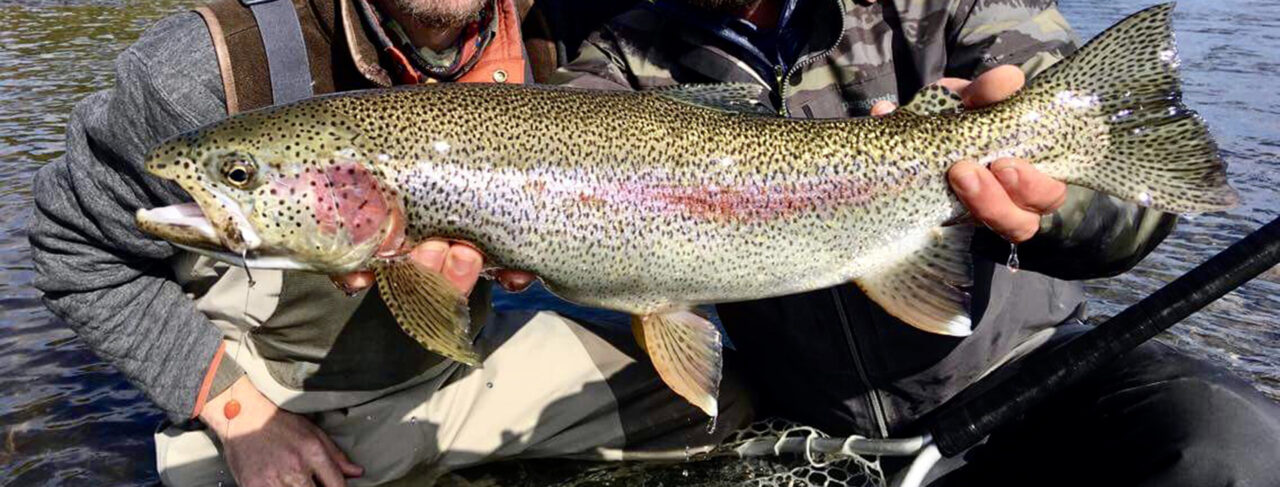 Fishing - North America - Usa - Alaska Alaska Trophy Adventures