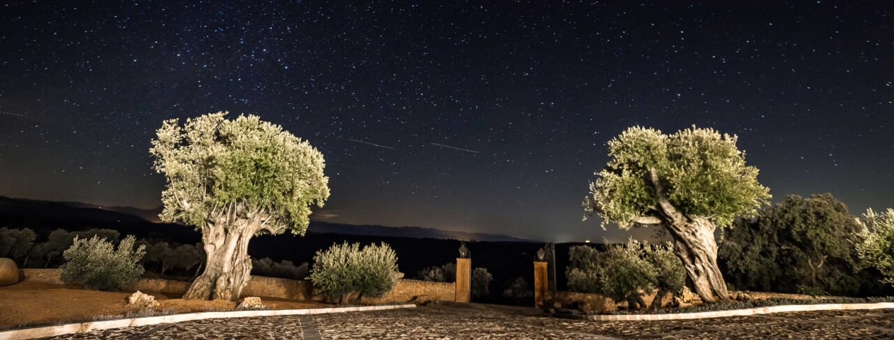 Shooting - Europe - Spain - La Cuesta
