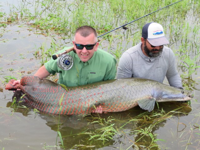 Arapaima - A client report from a trip to Pirarucu