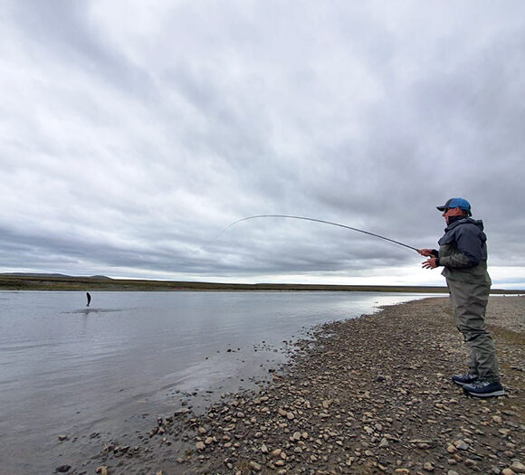 La Villa de Maria Behety Lodge Week 2 Report, 2020