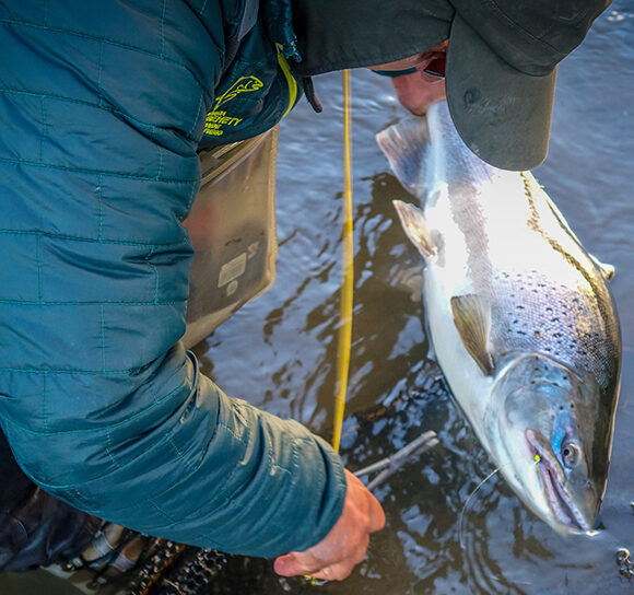 TDF Client Testimonial