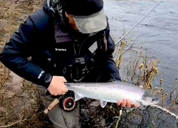 Video from Kitza, Russia