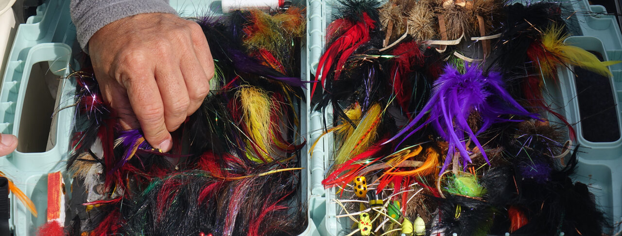 Fishing - Central & South America - Argentina - Delta Eco Lodge Dorado