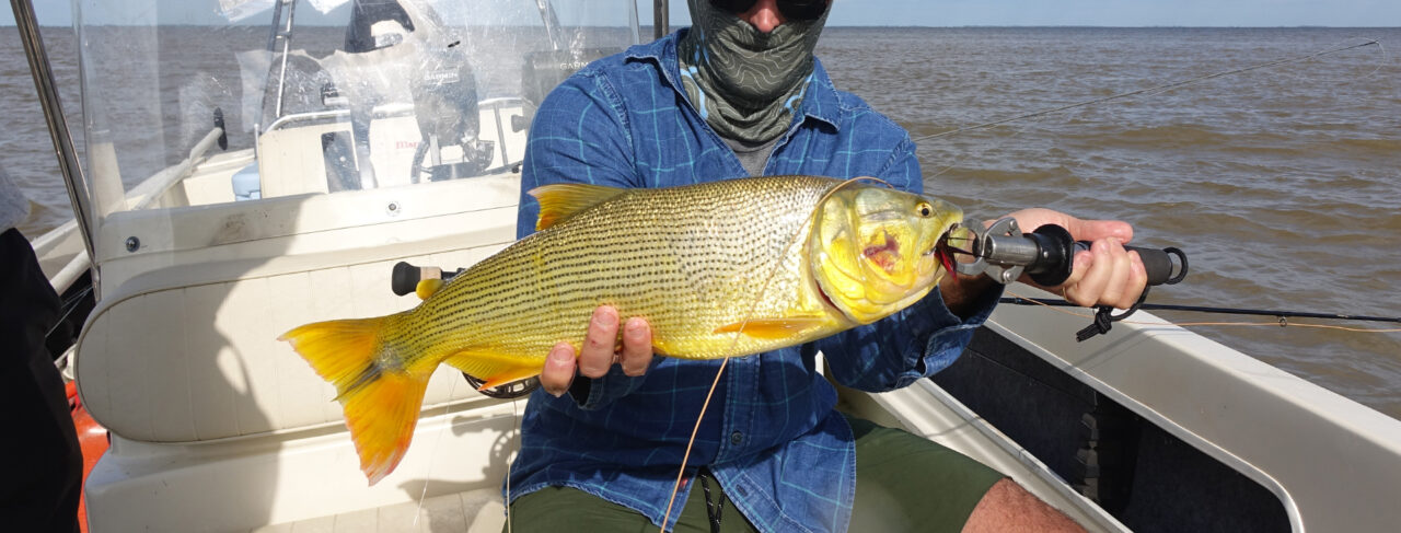 Fishing - Central & South America - Argentina - Delta Eco Lodge Dorado