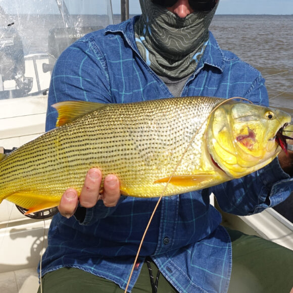 Fishing - Central & South America - Argentina - Delta Eco Lodge Dorado
