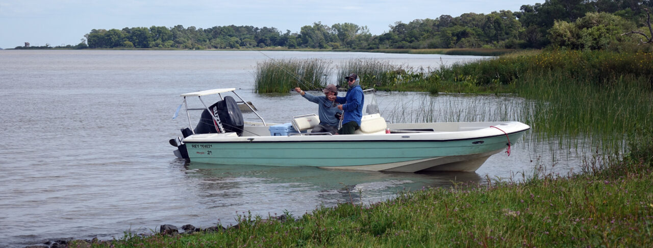 Fishing - Central & South America - Argentina - Delta Eco Lodge Dorado