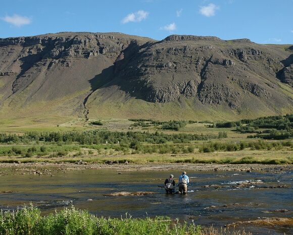 Travel to Iceland after 15 June 2020