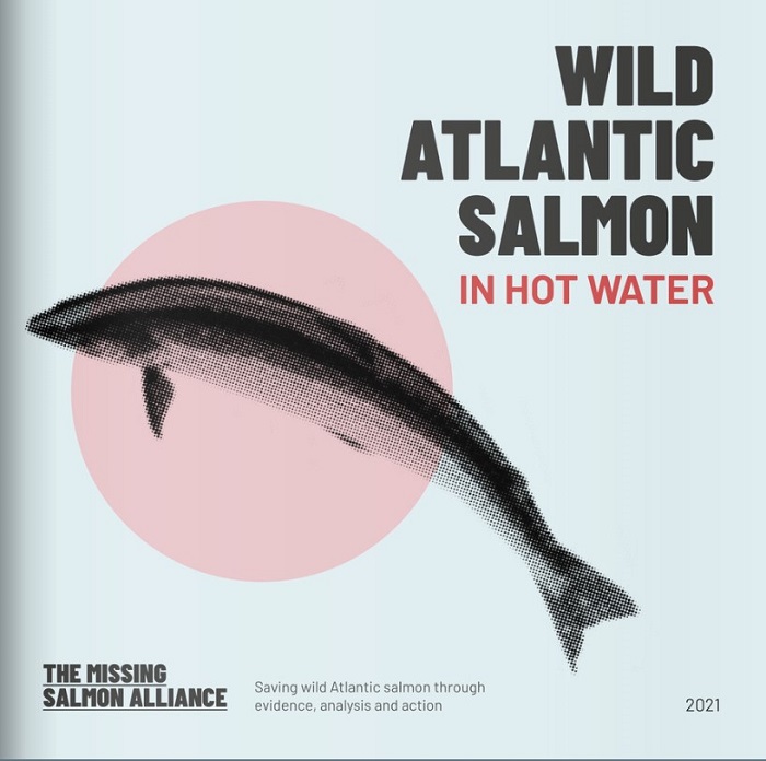 The Missing Salmon Alliance