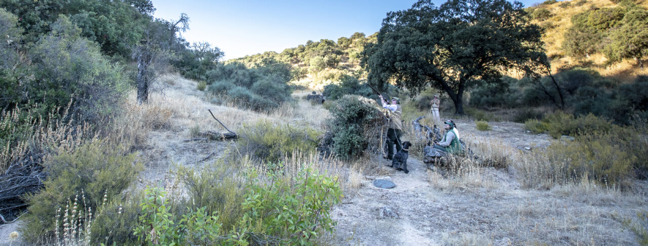 Shooting - Europe - Spain - Ventosilla