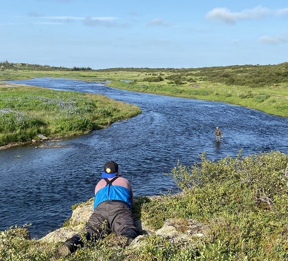 Langa Report July 2022