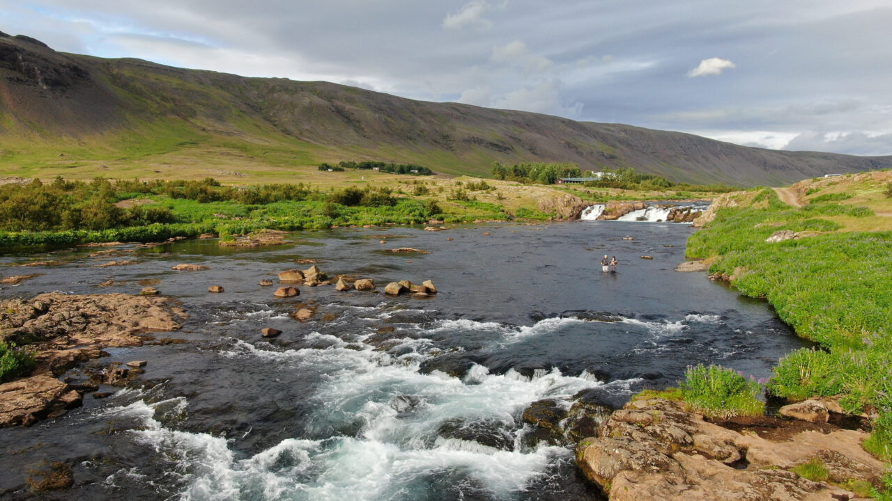 Fishing - Europe - Iceland - Laxa In Kjos