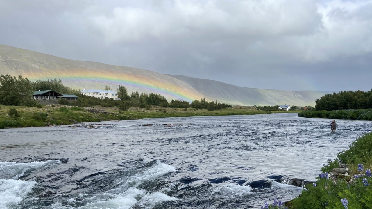 Fishing - Europe - Iceland - Laxa In Kjos