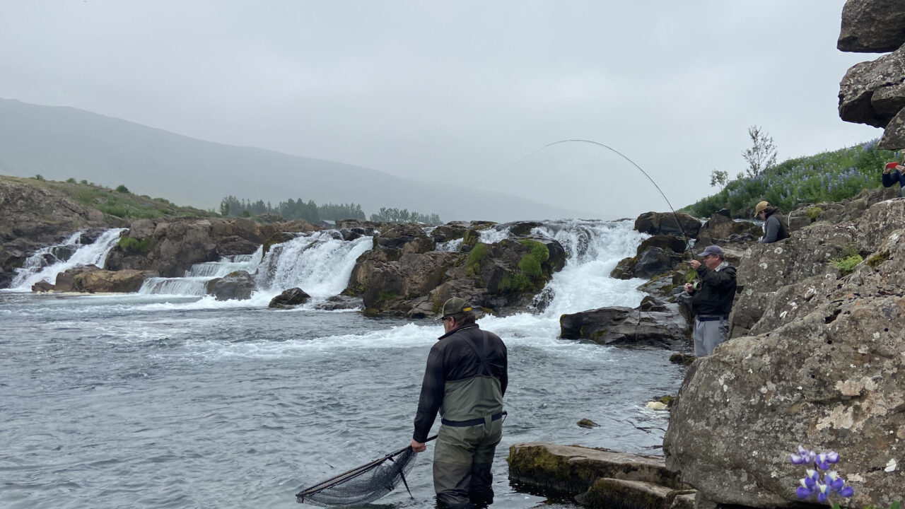 Fishing - Europe - Iceland - Laxa In Kjos
