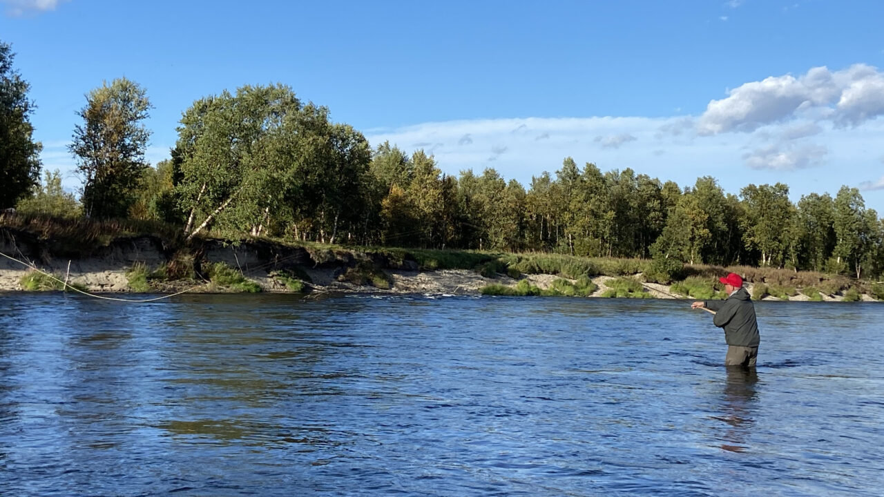 Fishing - Europe - Norway - Lakselva