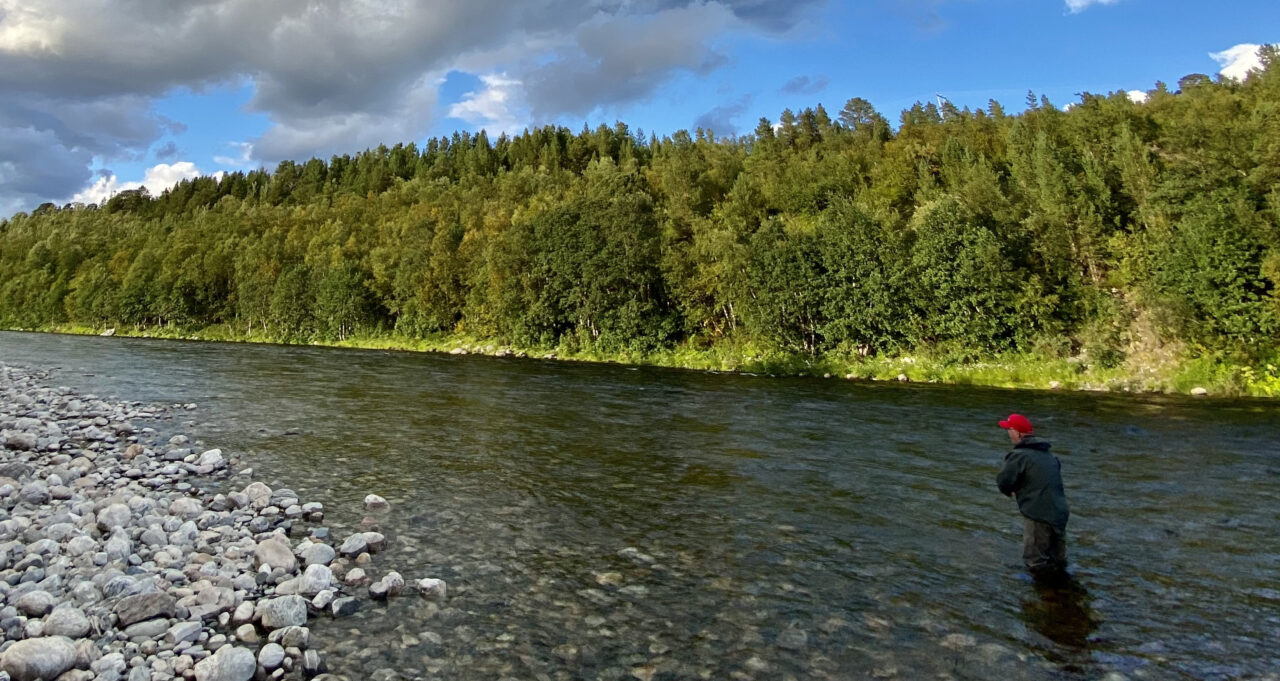 Fishing - Europe - Norway - Lakselva