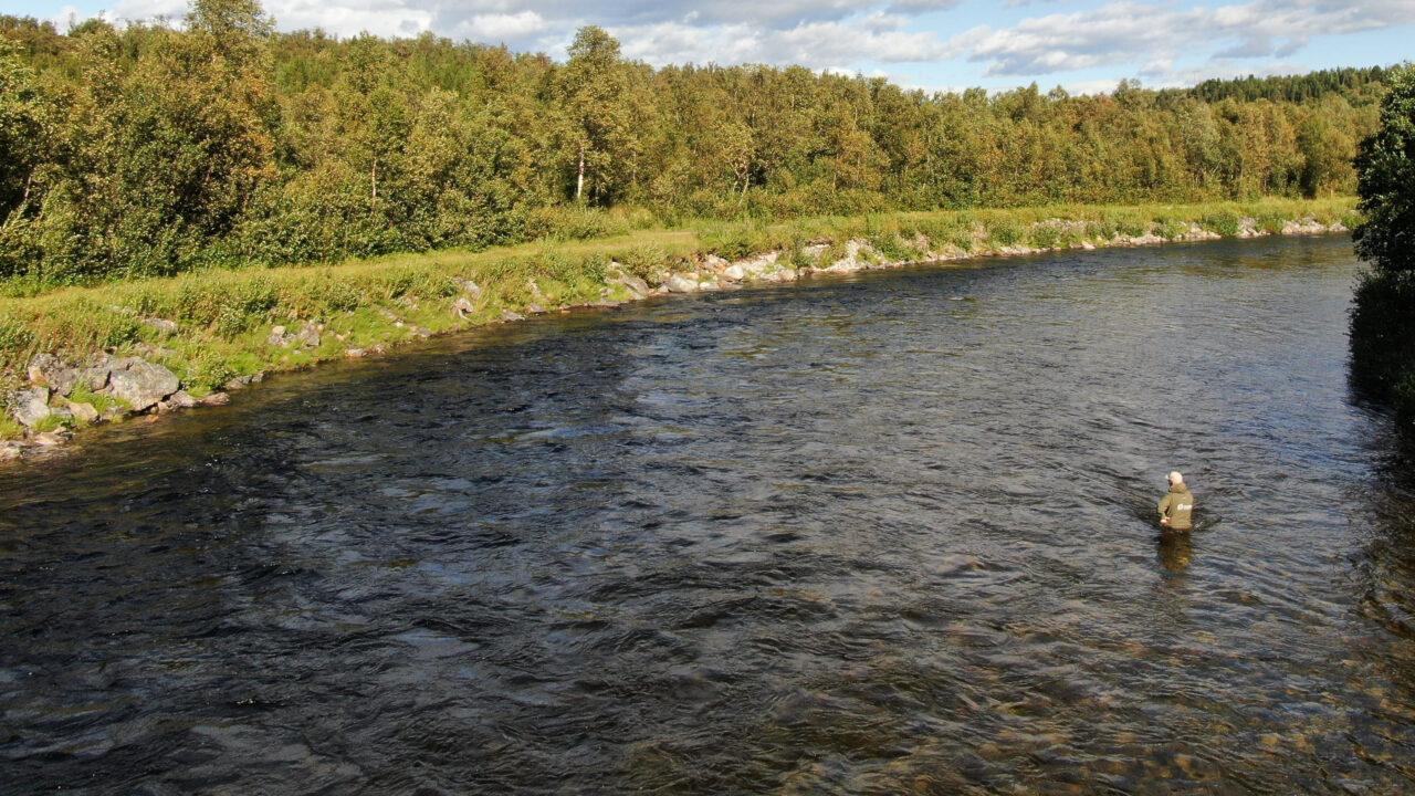 Fishing - Europe - Norway - Lakselva