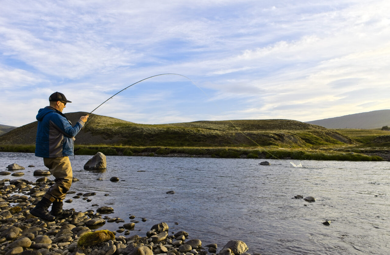 Fishing - Europe - Iceland - Hofsa